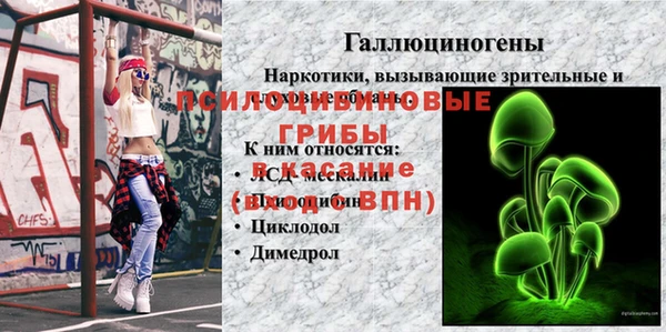 тгк Богородицк
