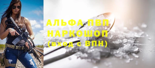PSILOCYBIN Богданович