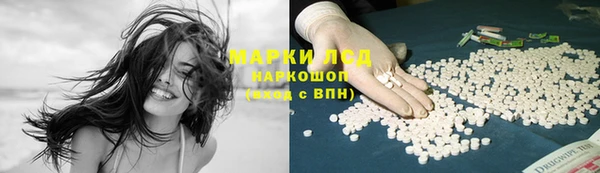 PSILOCYBIN Богданович