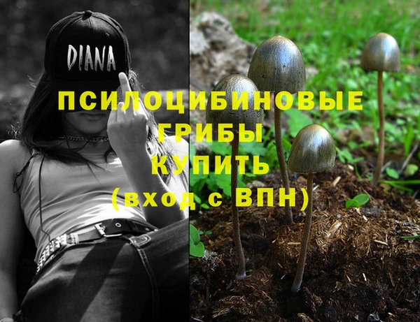PSILOCYBIN Богданович
