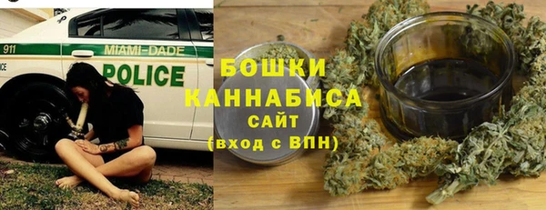 PSILOCYBIN Богданович