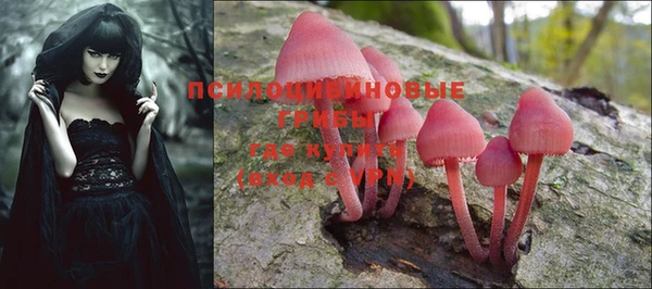 PSILOCYBIN Богданович
