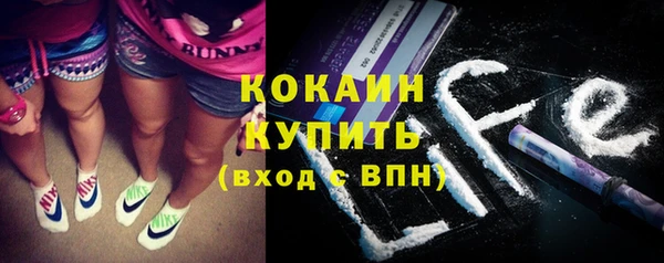 тгк Богородицк