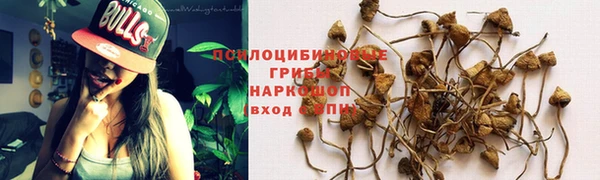 PSILOCYBIN Богданович