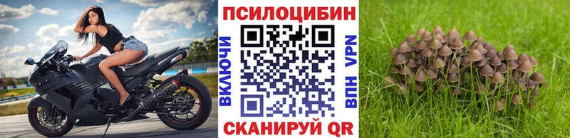 Галлюциногенные грибы ЛСД  OMG ССЫЛКА  Нюрба 